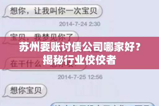 苏州要账讨债公司哪家好？揭秘行业佼佼者