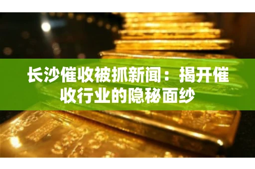 长沙催收被抓新闻：揭开催收行业的隐秘面纱