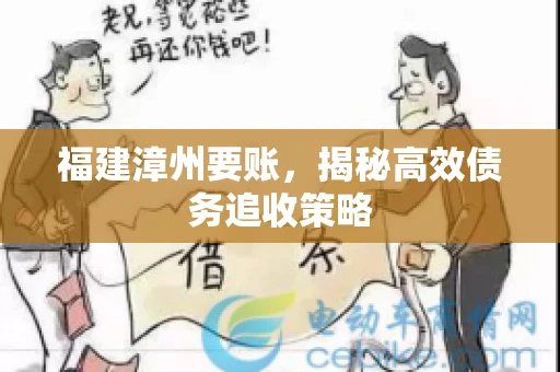 福建漳州要账，揭秘高效债务追收策略