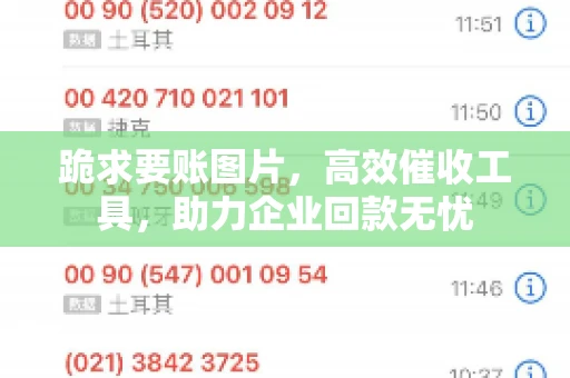 跪求要账图片，高效催收工具，助力企业回款无忧