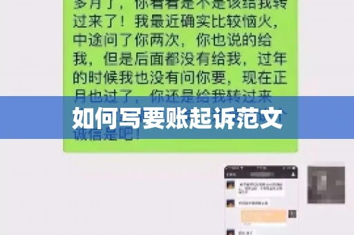 如何写要账起诉范文