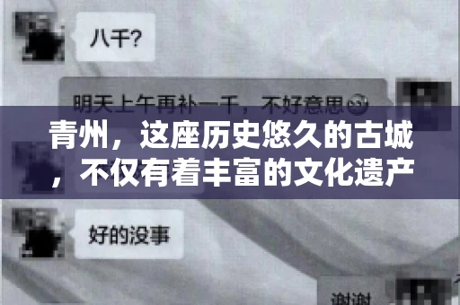 青州，这座历史悠久的古城，不仅有着丰富的文化遗产，还有着繁忙的经济活动。在商业往来中，难免会遇到一些欠款问题，这时候，找一家专业的要账公司就显得尤为重要。那么，青州有帮人要账的吗？答案是肯定的。下面，我就来为大家详细介绍一下青州地区的要账服务。
