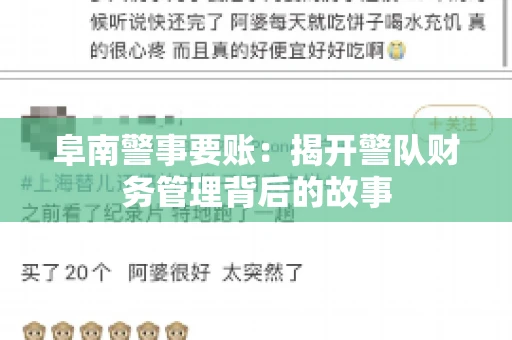 阜南警事要账：揭开警队财务管理背后的故事
