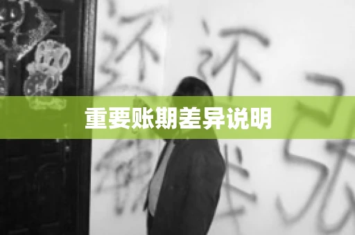 重要账期差异说明