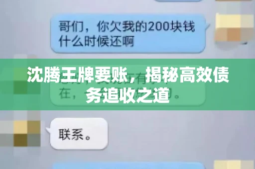 沈腾王牌要账，揭秘高效债务追收之道