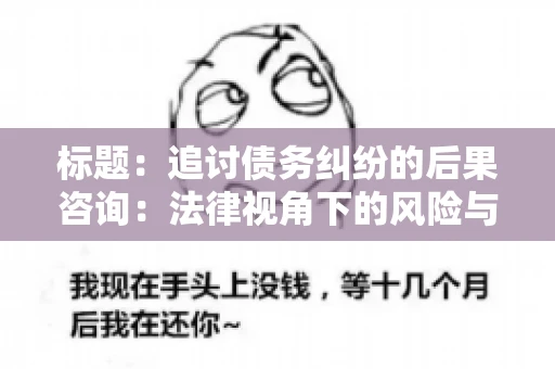 标题：追讨债务纠纷的后果咨询：法律视角下的风险与应对